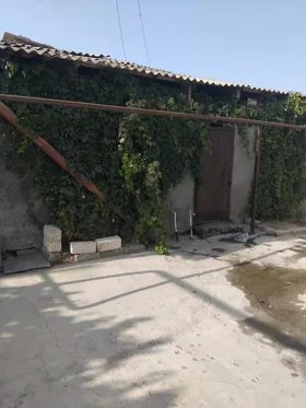 Kirayə 2 otaq bağ evi 27m² , Bakı , Xəzər , Buzovna