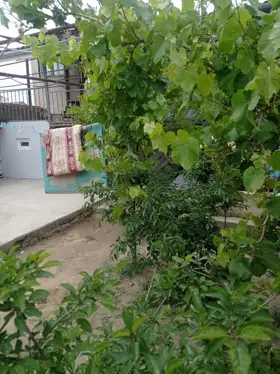 Kirayə 7 otaq bağ evi 110m² , Bakı , Suraxanı , Əmircan